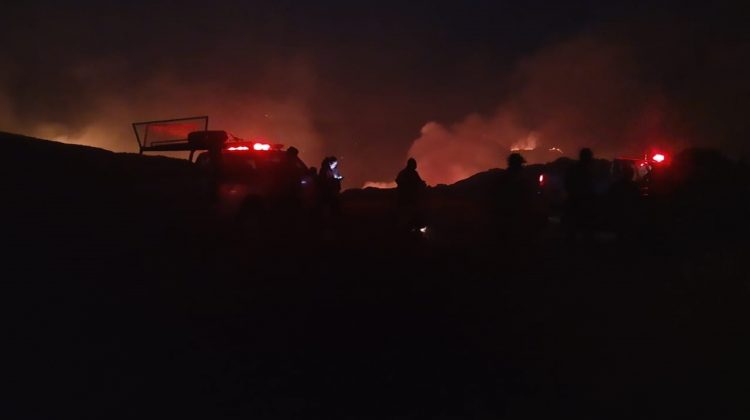 Combaten un incendio en la zona de Paso del Rey