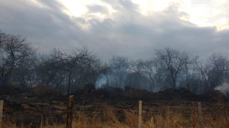 Controlaron el incendio de Villa de Merlo