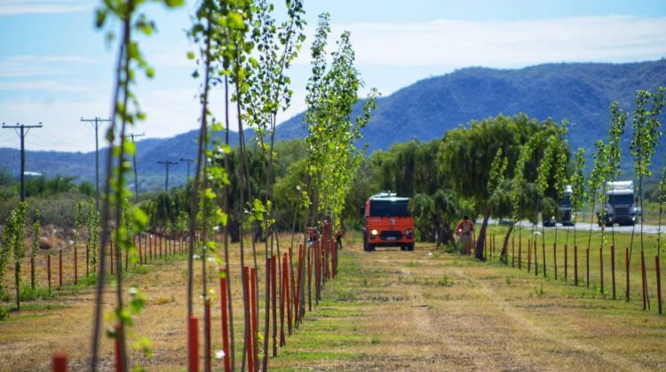 Plan de Parquización: un arduo y minucioso trabajo de 2 años que da sus frutos