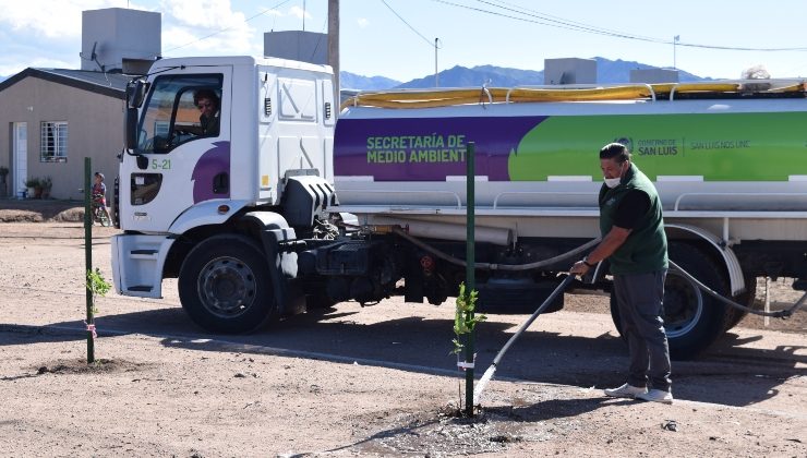 “Miércoles verde”: una nueva propuesta ambiental que apunta a cuidar el medioambiente