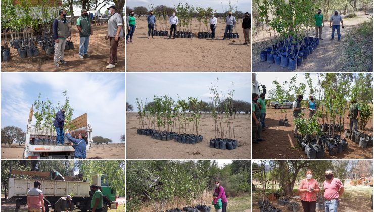 Finalizó la primera etapa del Plan de Activación Frutihortícola