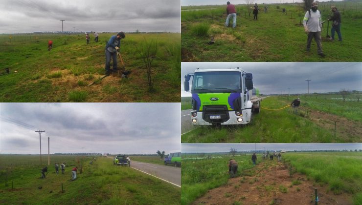 Natalia Spinuzza: “Plantaremos más de 50 mil árboles en la Cuenca del Morro para mitigar el desbalance hídrico de la zona”