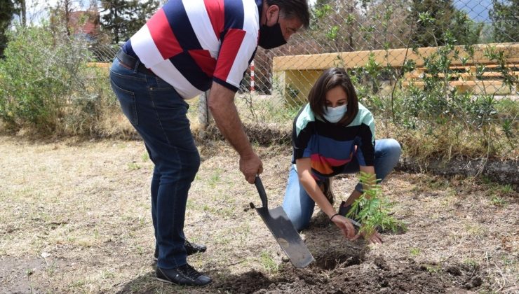 Suyuque- Los Molles: comenzó la forestación en la autopista 25 de Mayo y avanza la construcción de los anillos cortafuego