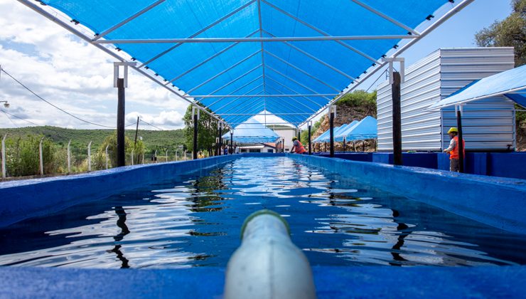 San Luis Agua ultima detalles en la estación de piscicultura de Río Grande