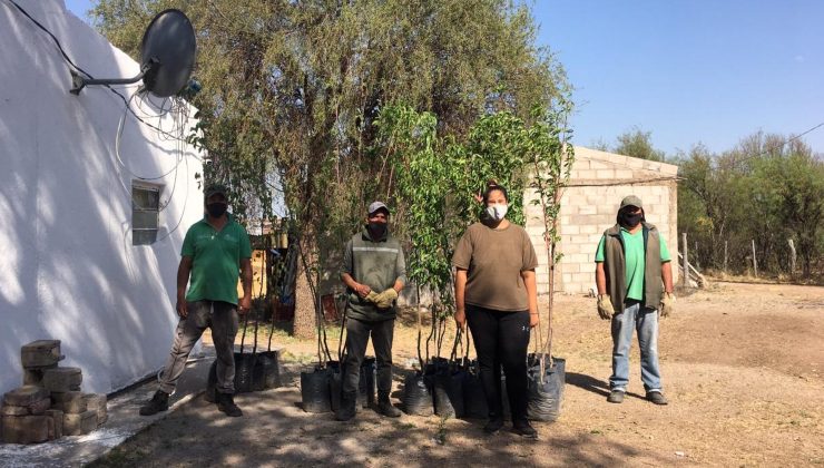 El Plan de Activación Frutihortícola lleva entregados más de 2.700 árboles frutales