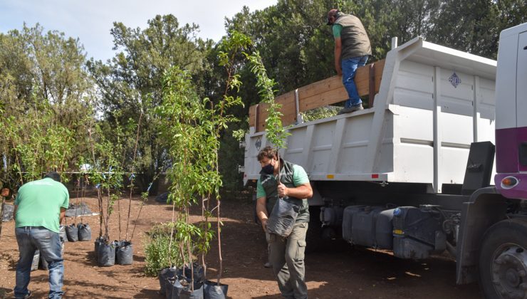 El Plan de Activación Productiva Frutihortícola llegó a más productores de la provincia