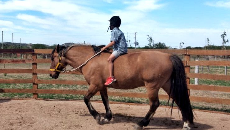 La Escuela Nº 192 “Maestro Rural Puntano” realiza un proyecto de equinoterapia para sus estudiantes