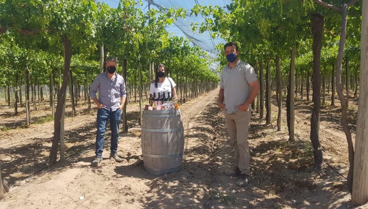 Renca adquirió plantines de Sol Puntano para producir en su huerta municipal