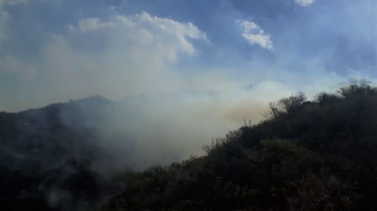 Incendios forestales: continúan los trabajos en Luján y Merlo