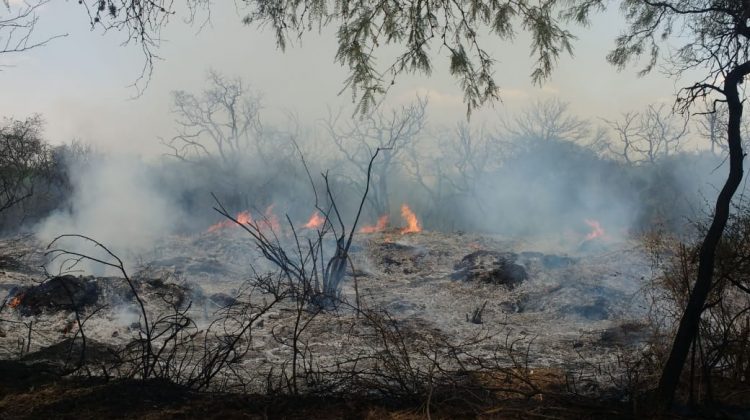 Bomberos y brigadistas continúan trabajando en Merlo y Luján