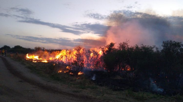 Brigadistas y bomberos combaten tres incendios en la provincia