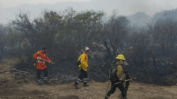 Bomberos y brigadistas combaten un incendio en la Cuesta del Gato