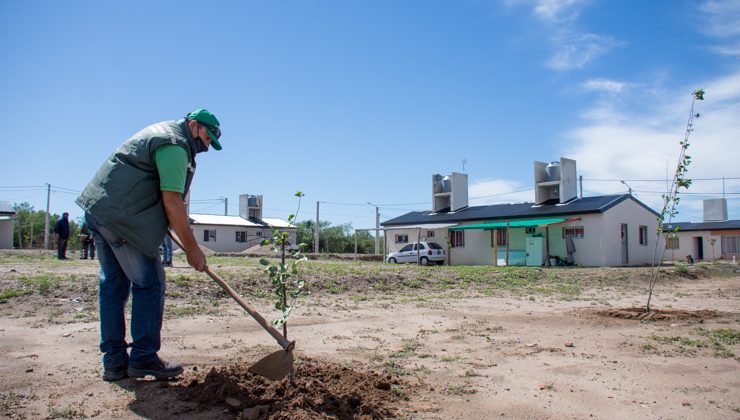 Comenzaron a entregar árboles frutales, aromáticas y semillas hortícolas a las familias de las nuevas viviendas de la ciudad de San Luis