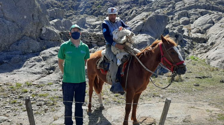 Entregaron animales reproductores de genética mejorada a productores de la provincia