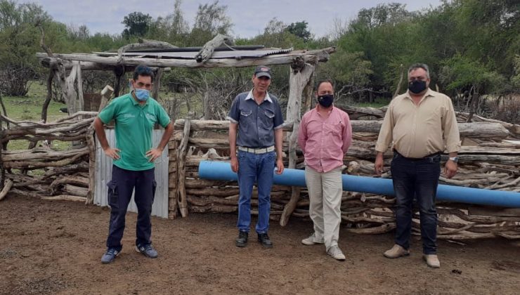 Sol Puntano trabaja con productores caprinos para comercializar chivos puntanos