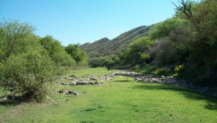 Conocé todas las actividades ambientales que ofrecen las Áreas Naturales Protegidas de San Luis