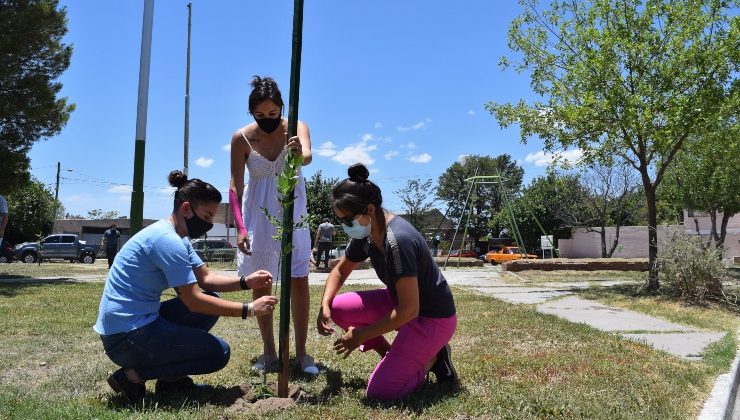 “Miércoles Verde” se vivió en los barrios Las Américas y Kennedy