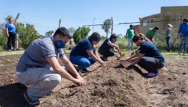 El Ministerio de Producción armó una huerta agroecológica en la Escuela “Manuel García Ferré” de La Punta