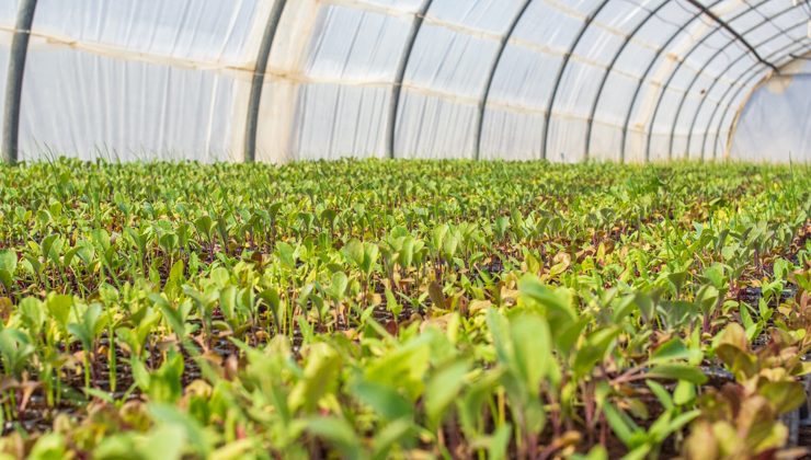 San Luis participó del 1º Encuentro del Programa de Implementación de las Buenas Prácticas Agrícolas en el sector frutihortícola