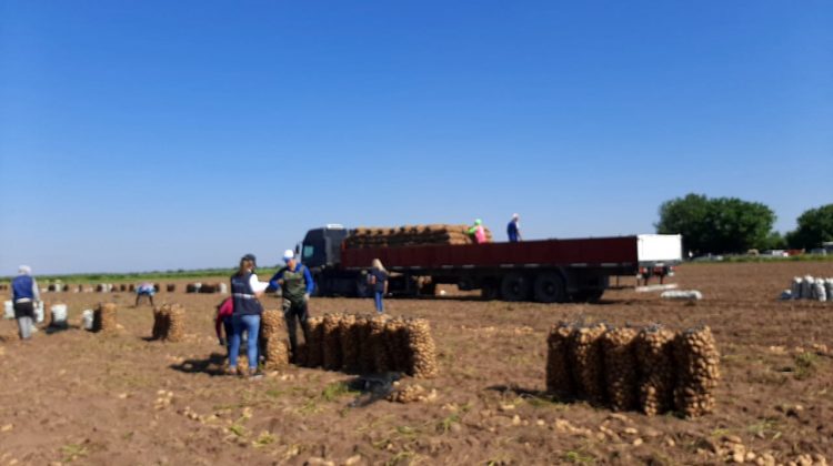 En un campo en Candelaria, detectaron 32 trabajadores en condiciones laborales precarias