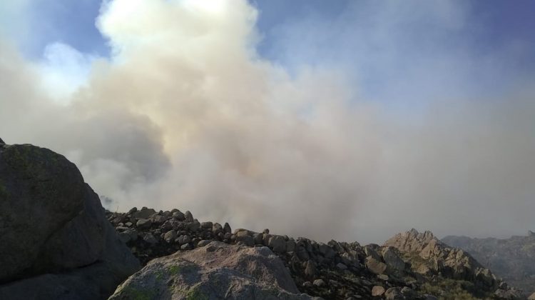 Bomberos combaten dos focos de incendios entre el Valle de Pancanta y Nogolí