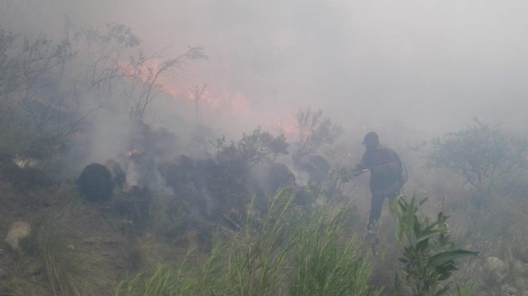 Incendio entre Nogolí y Valle de Pancanta: las llamas continúan y se ubican en una zona inaccesible