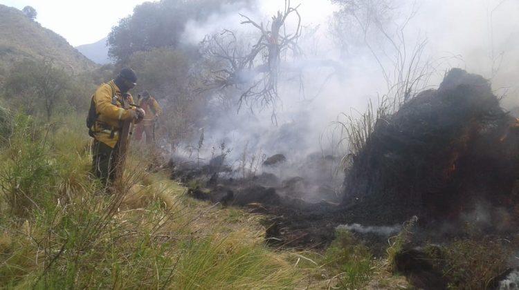 El incendio entre Nogolí y Valle de Pancanta adquirió grandes dimensiones y se mantiene en altura