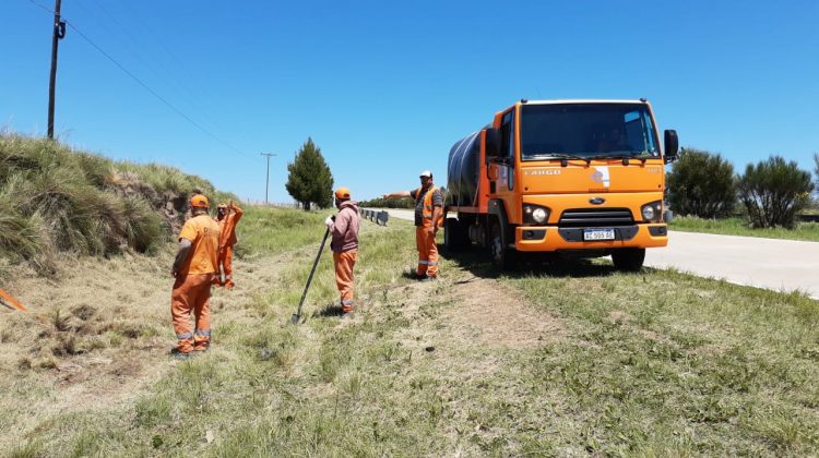 Plan Forestal: una ola verde que no se detiene