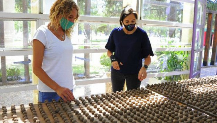 Bombas de semillas: el proyecto ambiental que llena de vida a la Cuenca del Morro