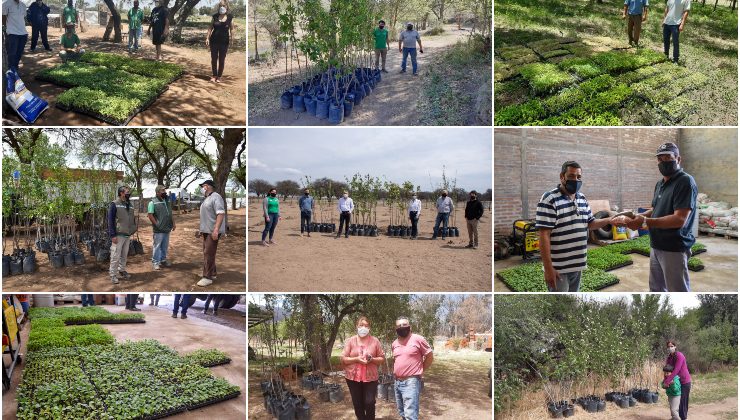 Durante el 2020 la cartera productiva generó diversas acciones para incentivar y fomentar la producción frutihortícola