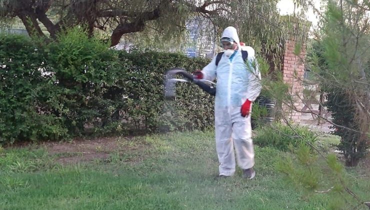 Prevención contra el dengue: continúan las fumigaciones en los parques provinciales