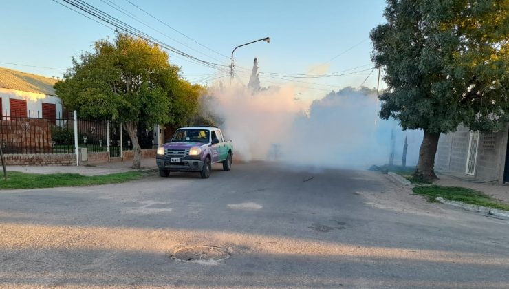 Continúa durante toda la semana la fumigación contra el dengue