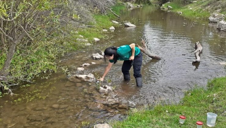 El Gobierno provincial realiza un monitoreo ambiental del río Conlara