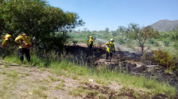 Bomberos controlaron un incendio cerca de la ciudad de La Punta