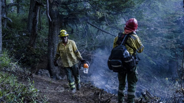 Damián Gómez: “El incendio en parte está controlado y en parte hay actividad, seguimos trabajando”