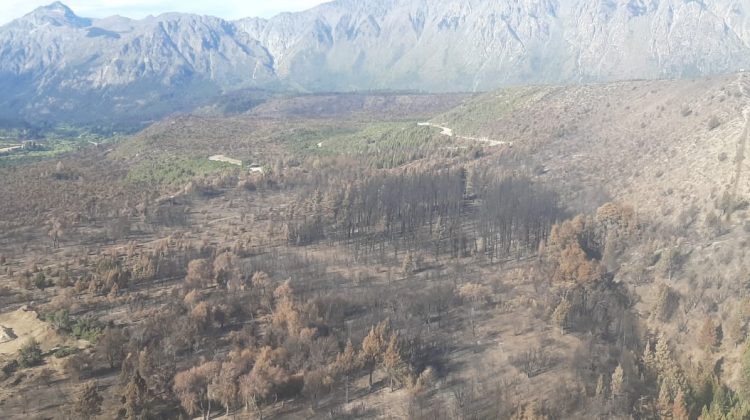 Los brigadistas puntanos llegaron a El Bolsón para ayudar a combatir los incendios forestales