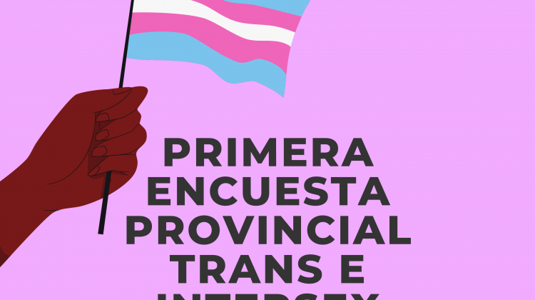 Presentaron la Primera Encuesta Provincial Trans e Intersex