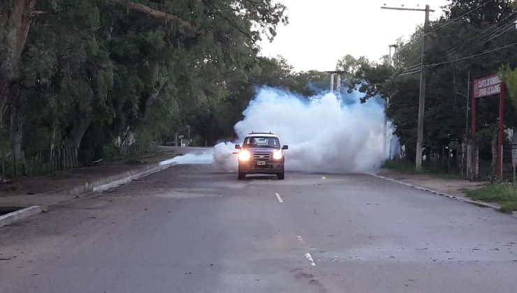 Dieron a conocer el cronograma semanal de fumigación contra el dengue