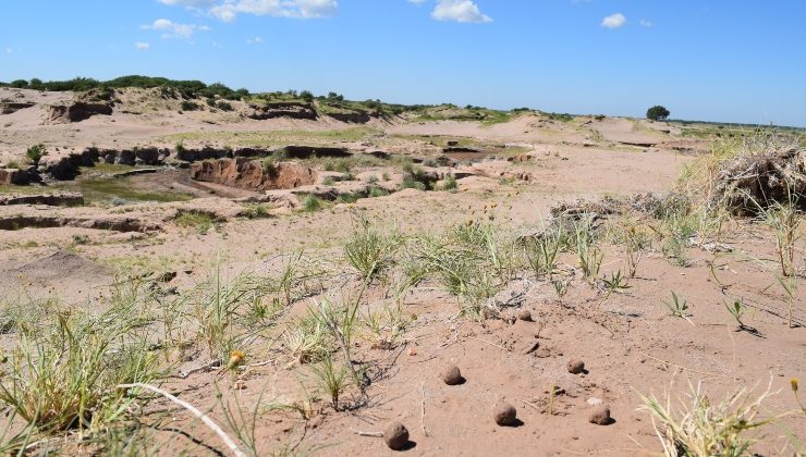 Cuenca El Morro: comenzó el monitoreo de las bombas de semillas