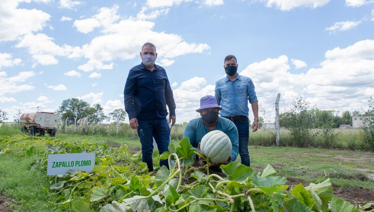 El ministro de Producción y el intendente de La Toma recorrieron la huerta municipal