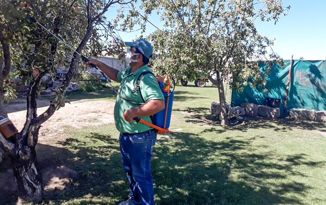 Con protocolos por la pandemia, el Programa Mosca de los Frutos continúa las visitas a sus beneficiarios