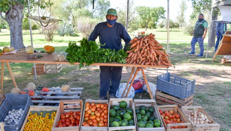 “Vale la pena venir a comprar acá, hay precios accesibles y la calidad es muy buena”