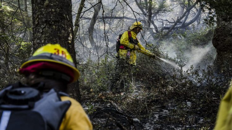 Galería de fotos: los brigadistas puntanos continúan combatiendo las llamas en El Bolsón