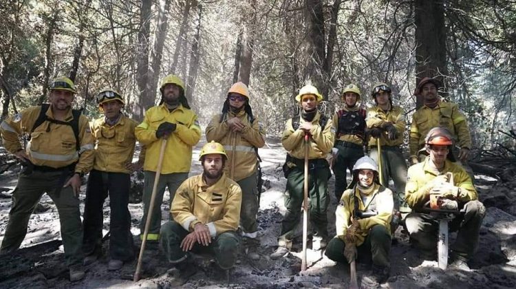 Brigadistas y bomberos puntanos ayudan a combatir los incendios en el sur del país