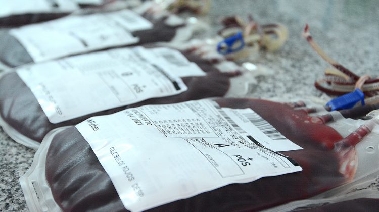 Continúa la campaña de donación de sangre, médula ósea, órganos y tejidos