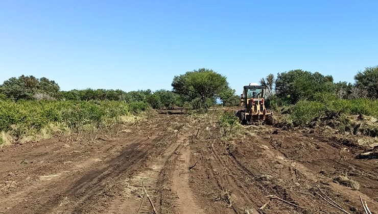 El Gobierno provincial frenó un desmonte ilegal en Cortaderas y clausuró el establecimiento