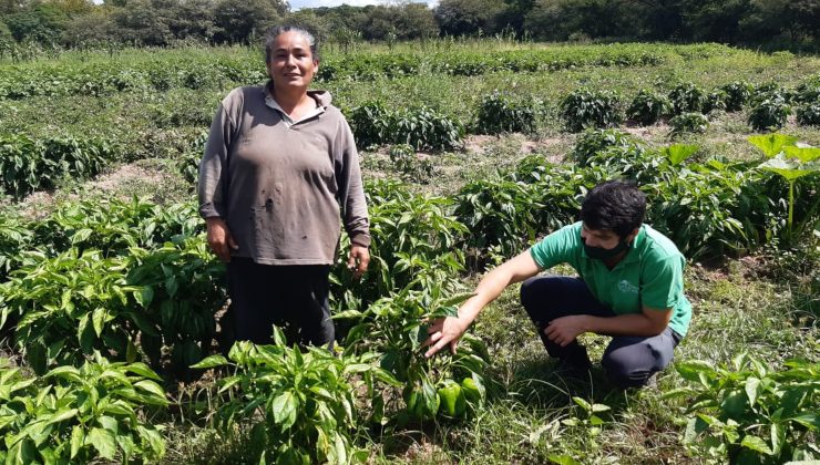 Técnicos del Ministerio de Producción visitaron a beneficiarios del Plan de Activación Productiva Frutihortícola