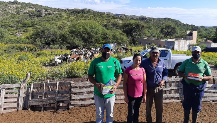 Realizaron asistencia sanitaria a caprinos de un establecimiento del paraje El Hornito