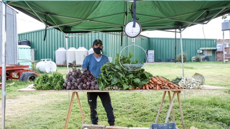 Pequeños y medianos productores se suman a la venta directa de Sol Puntano