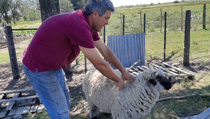 Realizaron la primera visita a un proyecto ovino que se desarrolla en la zona rural de Naschel